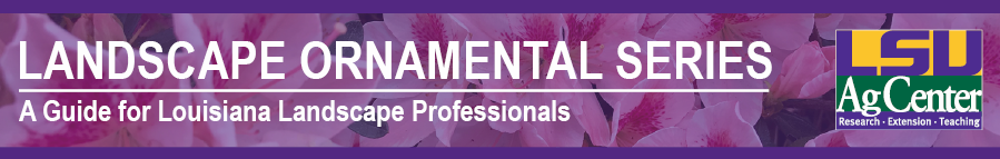 Banner titled "Landscape Ornamental Series: A Guide for Louisiana Landscape Professionals" with pink and white azalea flowers in the background and the LSU AgCenter logo in the corner.